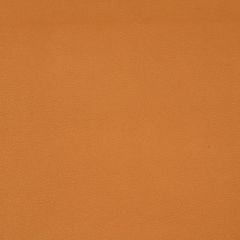 Robert Allen Contract Splash Marigold 216677 Sunweather Collection Upholstery Fabric