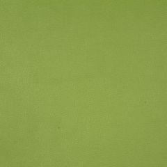 Robert Allen Contract Splash Key Lime 216784 Sunweather Collection Upholstery Fabric