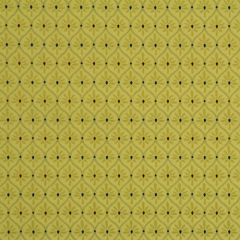 Robert Allen Contract Daisy Vase Pear 216846 Value Upholstery Collection Indoor Upholstery Fabric