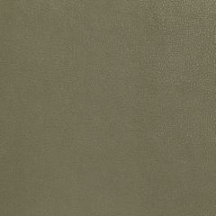 Robert Allen Contract Melvin Sage 216954 Indoor Upholstery Fabric