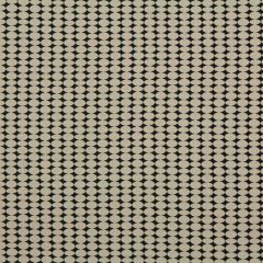 Robert Allen Almonds Kohl Essentials Collection Indoor Upholstery Fabric