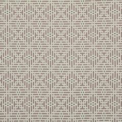 Robert Allen Aravali Blush Essentials Collection Indoor Upholstery Fabric