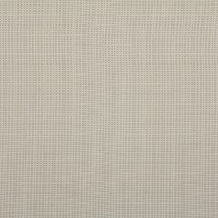 Robert Allen Triple Weave Linen Essentials Multi Purpose Collection Indoor Upholstery Fabric