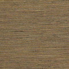 Robert Allen Lavishing Hemp Essentials Multi Purpose Collection Indoor Upholstery Fabric