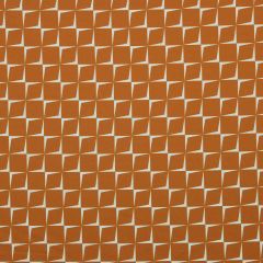 Robert Allen Contract Stone Field Persimmon 502 Indoor Upholstery Fabric