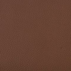 Aura Retreat Gingerbread SCL-109 Upholstery Fabric