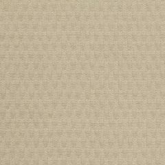 Robert Allen Mini Puffing Latte Essentials Multi Purpose Collection Indoor Upholstery Fabric