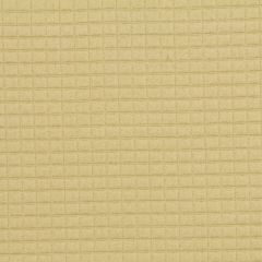 Robert Allen Grid Box Dijon Essentials Multi Purpose Collection Indoor Upholstery Fabric