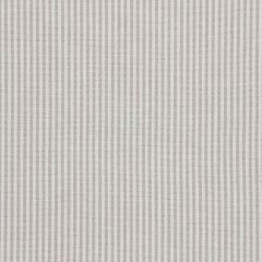 Robert Allen Oxford Unquilt Fog Essentials Multi Purpose Collection Indoor Upholstery Fabric