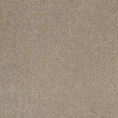 Robert Allen Eye Shadow Greystone Essentials Multi Purpose Collection Indoor Upholstery Fabric