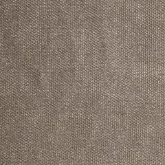 Robert Allen Eye Shadow Platinum Essentials Multi Purpose Collection Indoor Upholstery Fabric
