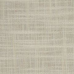 Robert Allen Korinthos Pearl Essentials Multi Purpose Collection Indoor Upholstery Fabric