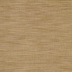 Robert Allen Ballinbogle Custard Essentials Multi Purpose Collection Indoor Upholstery Fabric