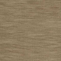 Robert Allen Ballinbogle Flax Essentials Multi Purpose Collection Indoor Upholstery Fabric