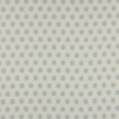 Beacon Hill Clockwise Silver Color Library Collection Indoor Upholstery Fabric