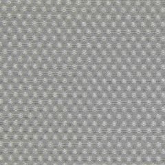 Beacon Hill Kilfenora Silver Color Library Collection Indoor Upholstery Fabric