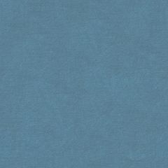 ABBEYSHEA Luscious 302 Light Blue Indoor Upholstery Fabric