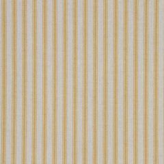 Robert Allen Cottage Stripe Sunshine Essentials Multi Purpose Collection Indoor Upholstery Fabric