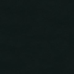 Spirit 393 Black Contract Marine Automotive and Healthcare Upholstery Fabric