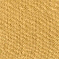 Gaston Y Daniela Nicaragua Oro Viejo GDT5239-10 Basics Collection Indoor Upholstery Fabric
