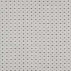 Beacon Hill Venn Silver Color Library Collection Indoor Upholstery Fabric