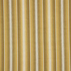 Robert Allen Tromso Stripe Zest Color Library Collection Indoor Upholstery Fabric