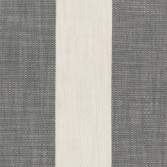 Perennials Vintage Stripe Pumice 865-208 Camp Wannagetaway Collection Upholstery Fabric