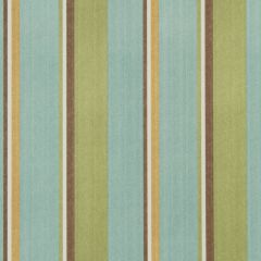 Robert Allen Contract Legend Stripe 492-Spa 230629 Multipurpose Fabric
