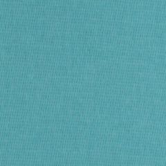 Robert Allen Cotton Twill Turquoise Essentials Collection Indoor Upholstery Fabric