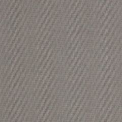 Robert Allen Cotton Twill Chalkboard 231315 Indoor Upholstery Fabric