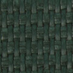 Robert Allen Raffia Path Billiard Green 231485 Classic Color Collection Indoor Upholstery Fabric