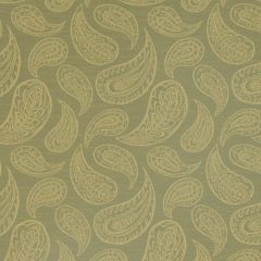 Robert Allen Contract Paisley Toss Leaf Indoor Upholstery Fabric