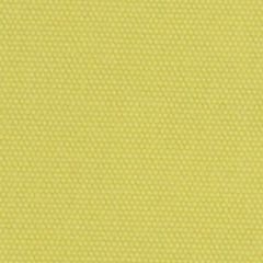 Robert Allen Open Prairie Lemongrass Essentials Collection Indoor Upholstery Fabric