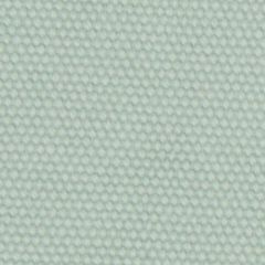 Robert Allen Open Prairie Aloe Essentials Collection Indoor Upholstery Fabric