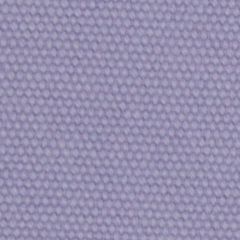 Robert Allen Open Prairie Iris Essentials Collection Indoor Upholstery Fabric