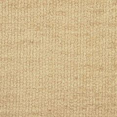Robert Allen Royal Chenille Amber Essentials Collection Indoor Upholstery Fabric