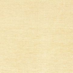 Robert Allen Royal Chenille Buttercream Essentials Collection Indoor Upholstery Fabric