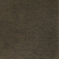 Robert Allen Royal Chenille Graphite Essentials Collection Indoor Upholstery Fabric