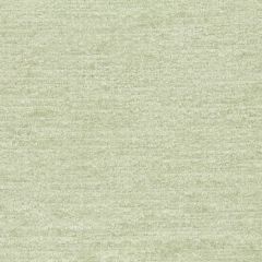 Robert Allen Royal Chenille Mint Essentials Collection Indoor Upholstery Fabric