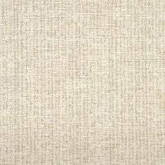 Robert Allen Grand Chenille Cloud Essentials Collection Indoor Upholstery Fabric