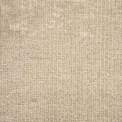 Robert Allen Grand Chenille Sterling Essentials Collection Indoor Upholstery Fabric