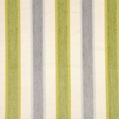 Robert Allen High Lo Stripe Zinc Color Library Collection Indoor Upholstery Fabric