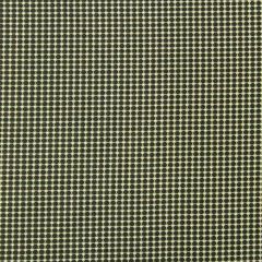 Robert Allen Backspin Zinc Color Library Collection Indoor Upholstery Fabric