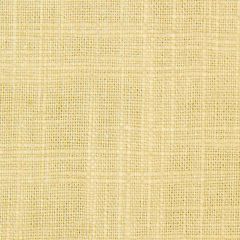 Robert Allen Slubbed Weave Twine Home Upholstery Collection Indoor Upholstery Fabric