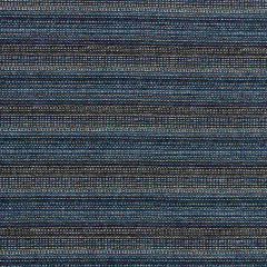 Beacon Hill Kaili Strie Indigo Multi Purpose Collection Upholstery Fabric
