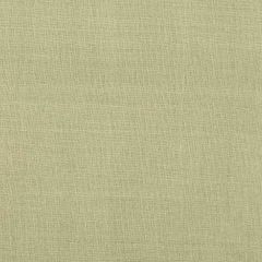 Robert Allen Cartier Willow Essentials Multi Purpose Collection Indoor Upholstery Fabric