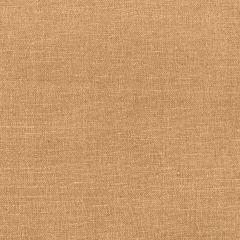 Robert Allen Cartier Java Essentials Multi Purpose Collection Indoor Upholstery Fabric