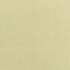 Robert Allen Cartier Lemongrass Essentials Multi Purpose Collection Indoor Upholstery Fabric