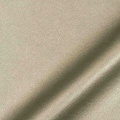 Robert Allen Pebble Sheen Pewter Essentials Collection Indoor Upholstery Fabric