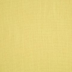 Robert Allen Maliko Bay Zest Essentials Multi Purpose Collection Indoor Upholstery Fabric